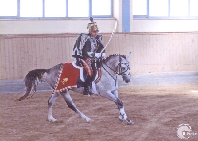 Bundesleistungsschau arabischer Pferde in Kreuth, Bild Nr. 1