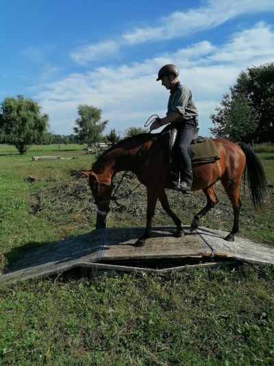Wasserspiele, Bild Nr. 3