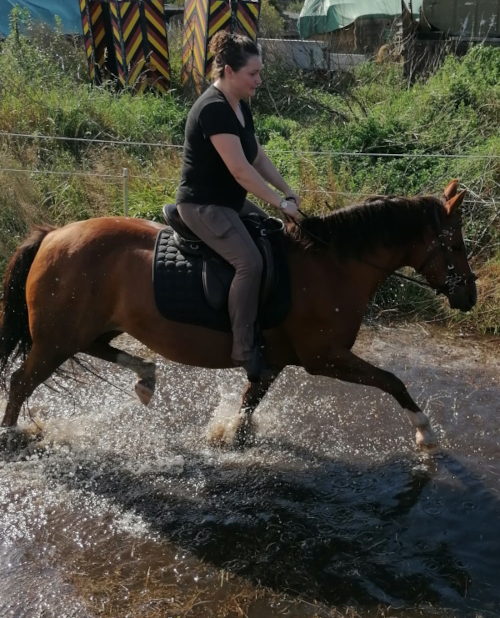 Wasserspiele, Bild Nr. 4