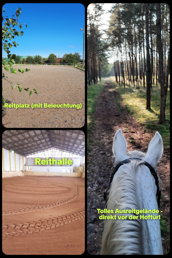 Pferdepension, Bild Nr. 6