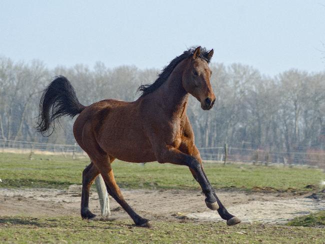 Duel, Bild Nr. 2