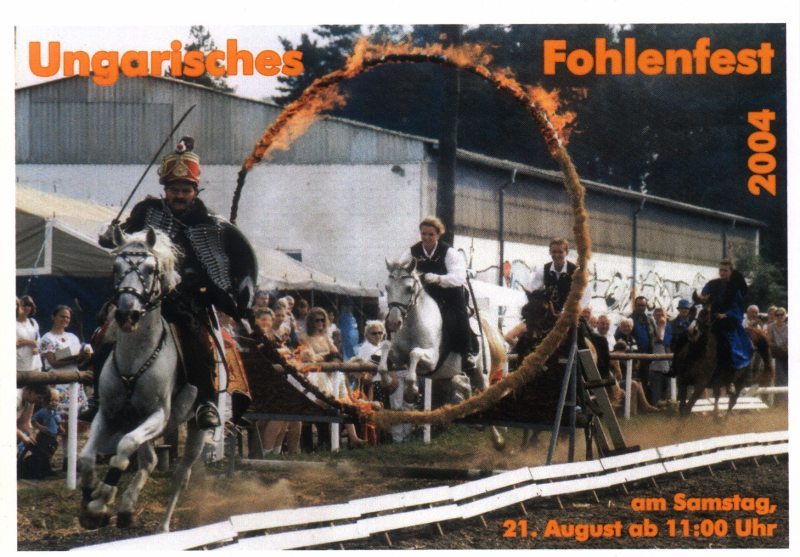 Ungarisches Fohlenfest 2004 , Bild Nr. 1