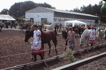 Ungarisches Fohlenfest 2001, Bild Nr. 2