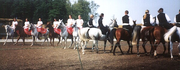 Fohlenfest 2002, Bild Nr. 2