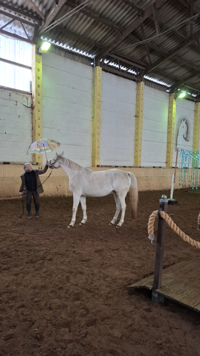 Trail Parcours, Bild Nr. 3