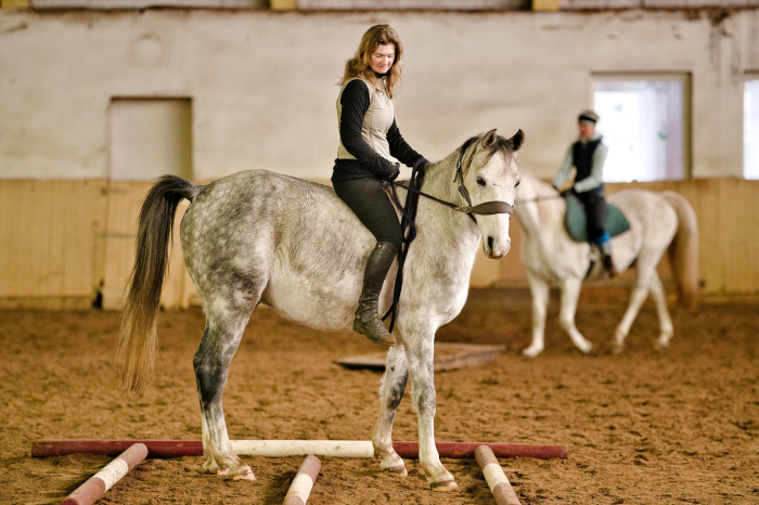 Trail Parcours, Bild Nr. 6